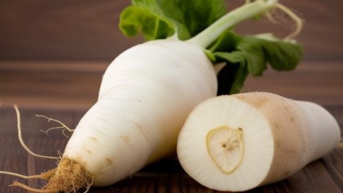 羊肉和什么炖好(适合搭配炖制的食材推荐)?-会东网