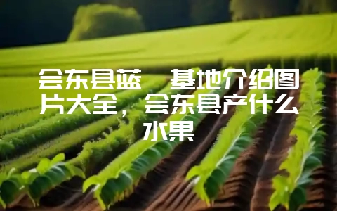 会东县蓝莓基地介绍图片大全,会东县产什么水果-会东网