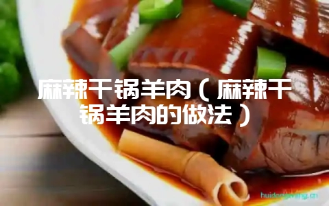 麻辣干锅羊肉(麻辣干锅羊肉的做法)-会东网