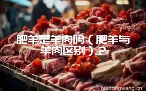 肥羊是羊肉吗(肥羊与羊肉区别)?插图 肥羊是羊肉吗(肥羊与羊肉区别)?插图