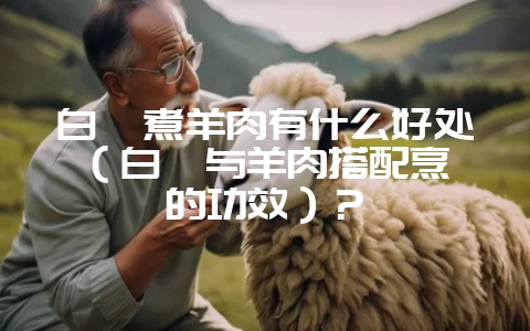 白芷煮羊肉有什么好处(白芷与羊肉搭配烹饪的功效)?-会东网