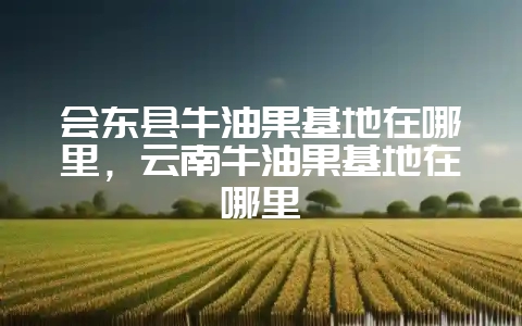 会东县牛油果基地在哪里,云南牛油果基地在哪里-会东网