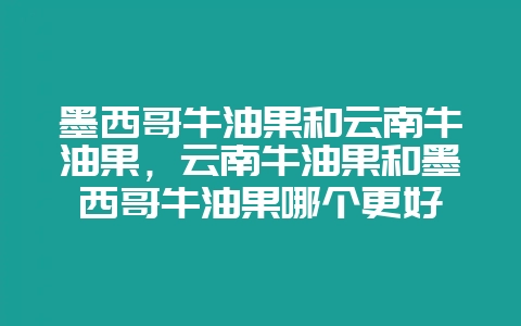 墨西哥牛油果和云南牛油果,云南牛油果和墨西哥牛油果哪个更好-会东网