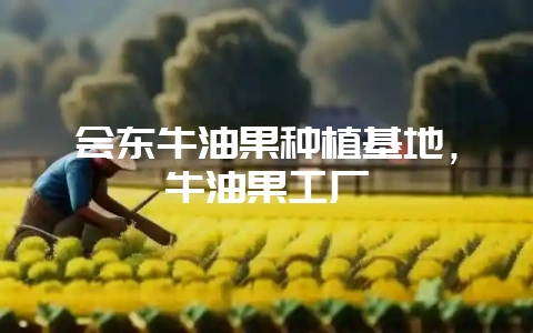 会东牛油果种植基地,牛油果工厂-会东网
