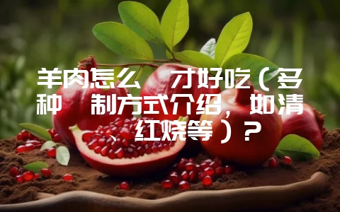 羊肉怎么炖才好吃(多种炖制方式介绍,如清炖、红烧等)?-会东网