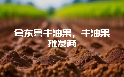 会东县牛油果,牛油果批发商-会东网
