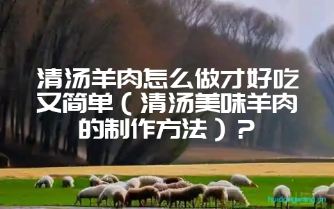 清汤羊肉怎么做才好吃又简单(清汤美味羊肉的制作方法)?插图 清汤羊肉怎么做才好吃又简单(清汤美味羊肉的制作方法)?插图
