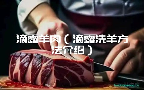 滴露羊肉(滴露洗羊方法介绍)插图 滴露羊肉(滴露洗羊方法介绍)插图