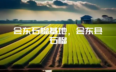 会东石榴基地,会东县石榴-会东网
