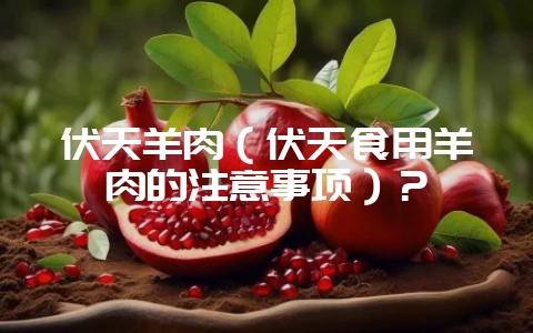 伏天羊肉(伏天食用羊肉的注意事项)?-会东网