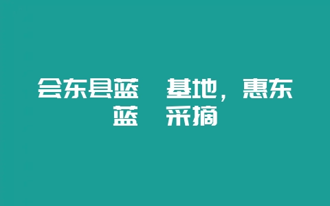 会东县蓝莓基地,惠东蓝莓采摘-会东网