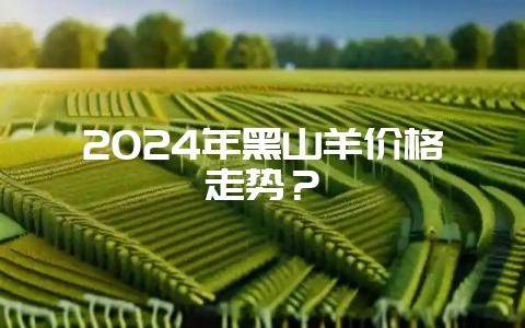 2024年黑山羊价格走势?插图 2024年黑山羊价格走势?插图