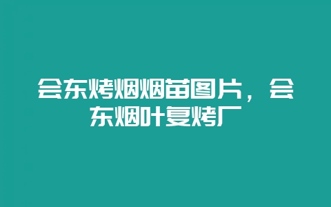 会东烤烟烟苗图片,会东烟叶复烤厂-会东网
