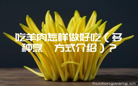 吃羊肉怎样做好吃（多种烹饪方式介绍）？-会东网