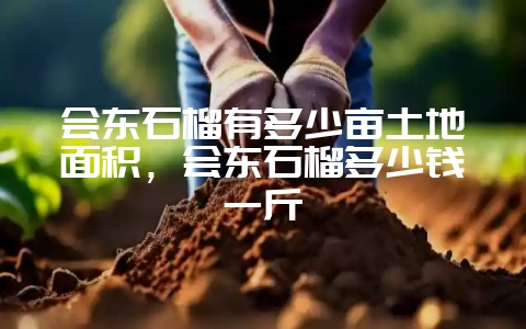 会东石榴有多少亩土地面积,会东石榴多少钱一斤-会东网