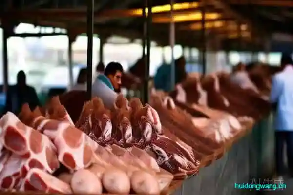 会东美食:羊肉的分解图(羊肉各部位分解图示)?-会东网