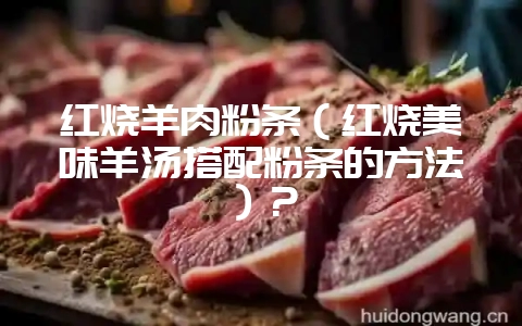 红烧羊肉粉条(红烧美味羊汤搭配粉条的方法)?-会东网