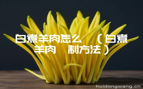 白煮羊肉怎么炖(白煮羊肉炖制方法)-会东网