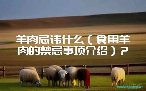 羊肉忌讳什么(食用羊肉的禁忌事项介绍)?插图 羊肉忌讳什么(食用羊肉的禁忌事项介绍)?插图