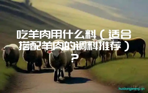 吃羊肉用什么料（适合搭配羊肉的调料推荐）？-会东网
