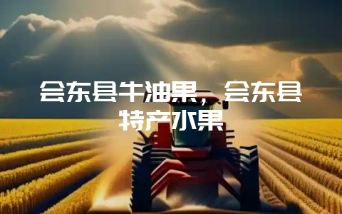 会东县牛油果,会东县特产水果-会东网