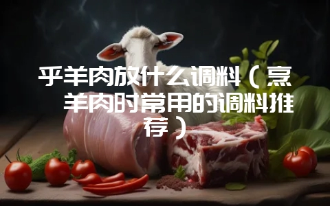 乎羊肉放什么调料（烹饪羊肉时常用的调料推荐）-会东网