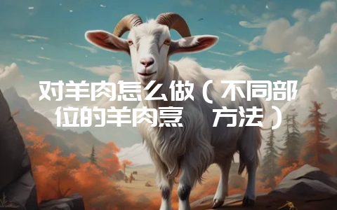 对羊肉怎么做(不同部位的羊肉烹饪方法)插图 对羊肉怎么做(不同部位的羊肉烹饪方法)插图