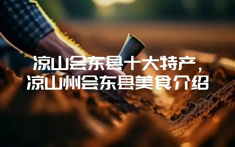 凉山会东县十大特产,凉山州会东县美食介绍-会东网