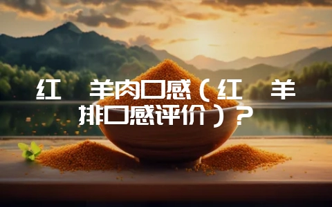 红焖羊肉口感(红焖羊排口感评价)?插图 红焖羊肉口感(红焖羊排口感评价)?插图