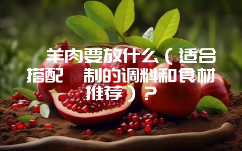 炖羊肉要放什么（适合搭配炖制的调料和食材推荐）？-会东网