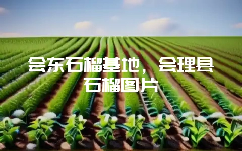 会东石榴基地，会理县石榴图片-会东网
