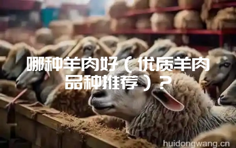 哪种羊肉好（优质羊肉品种推荐）？-会东网