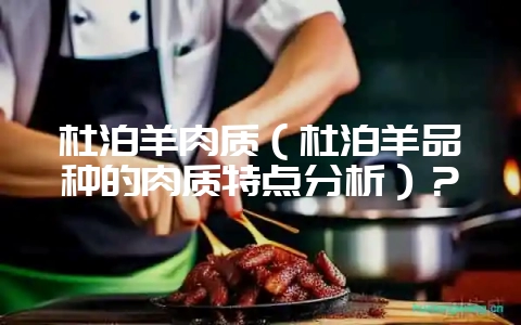 杜泊羊肉质（杜泊羊品种的肉质特点分析）？-会东网