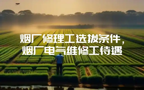 烟厂修理工选拔条件,烟厂电气维修工待遇-会东网