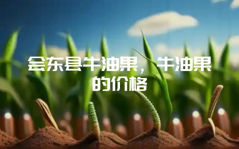 会东县牛油果,牛油果的价格-会东网