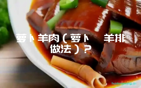 萝卜羊肉(萝卜炖羊排做法)?插图 萝卜羊肉(萝卜炖羊排做法)?插图