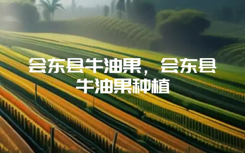 会东县牛油果,会东县牛油果种植-会东网