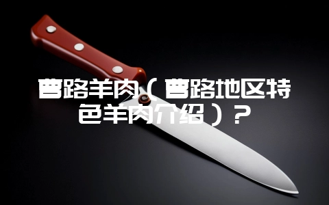 曹路羊肉(曹路地区特色羊肉介绍)?插图 曹路羊肉(曹路地区特色羊肉介绍)?插图