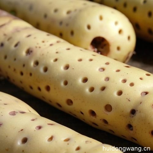 会东美食:羊肉炖什么好吃(适合搭配炖制的食材)?-会东网