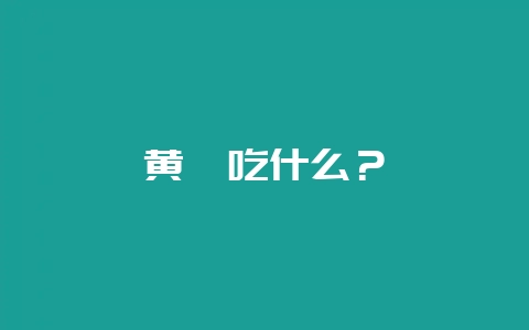 黄鳝吃什么?-会东网