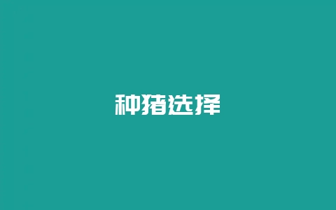 种猪选择-会东网