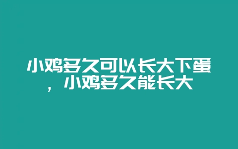 小鸡多久可以长大下蛋，小鸡多久能长大-会东网