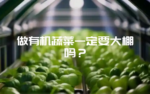 做有机蔬菜一定要大棚吗？-会东网