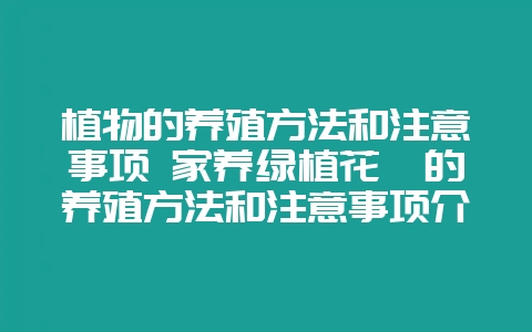 植物的养殖方法和注意事项 家养绿植花卉的养殖方法和注意事项介绍-会东网