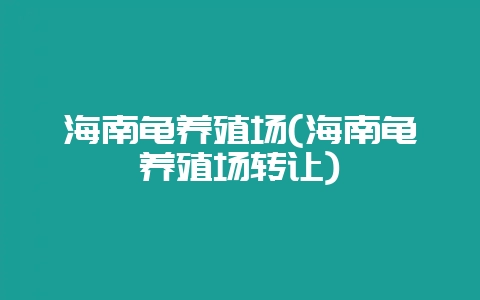 海南龟养殖场(海南龟养殖场转让)-会东网