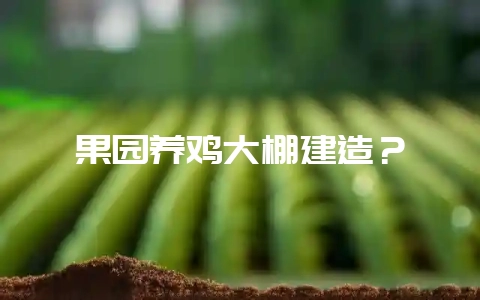 果园养鸡大棚建造?-会东网