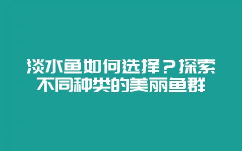 淡水鱼如何选择？探索不同种类的美丽鱼群-会东网