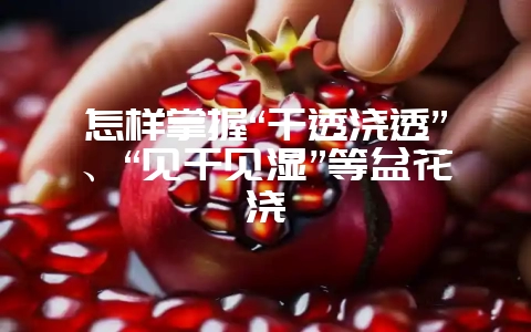 怎样掌握“干透浇透”、“见干见湿”等盆花浇-会东网