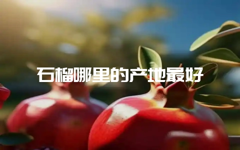 石榴哪里的产地最好插图 石榴哪里的产地最好插图