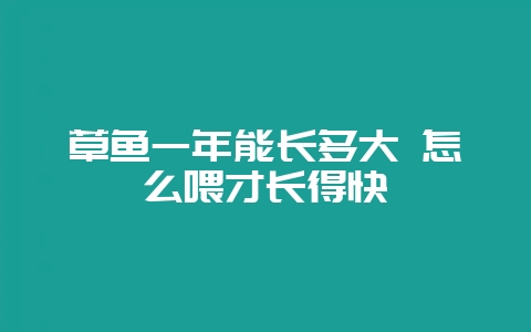 草鱼一年能长多大 怎么喂才长得快-会东网